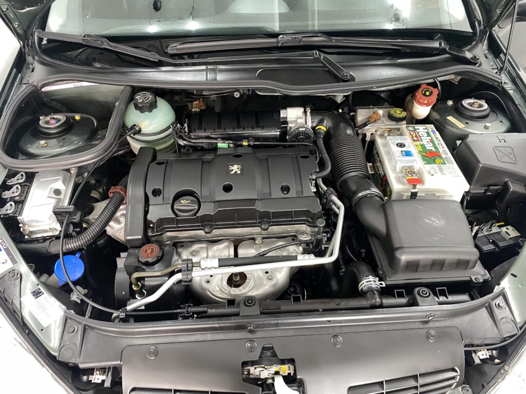 lavagem de motor de carro