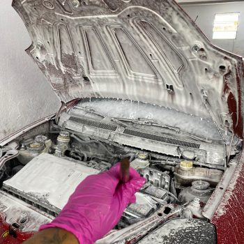 lavagem de motor carro