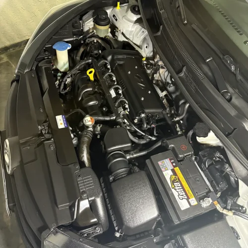 Lavagem de Motor à Domicílio SP